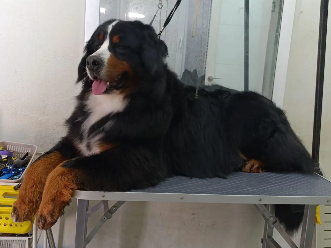 Наши работы